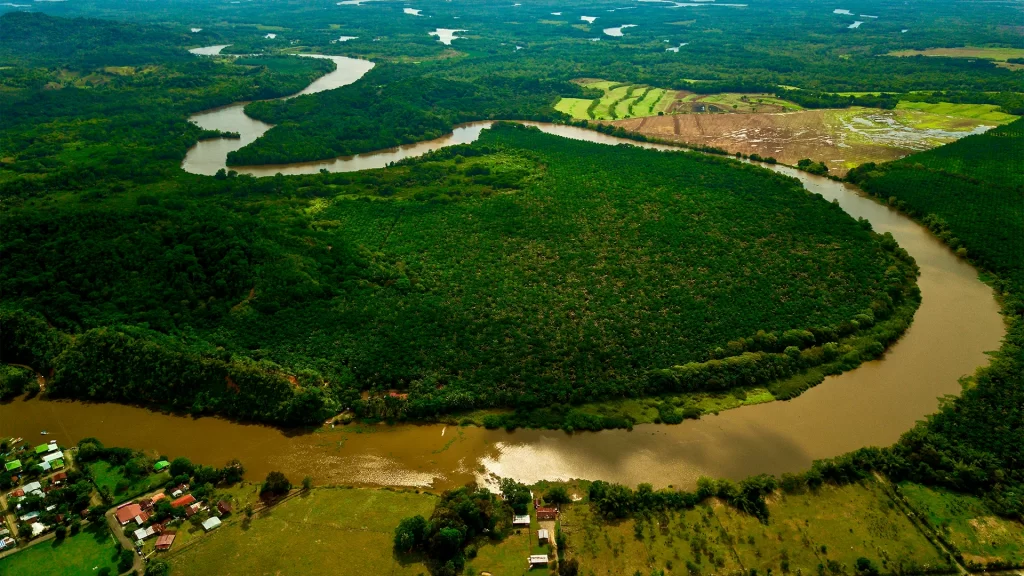 Tours a los Manglares de Sierpe