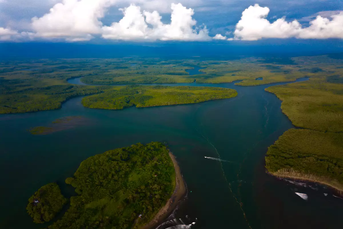 Mangrove Kayak Tours