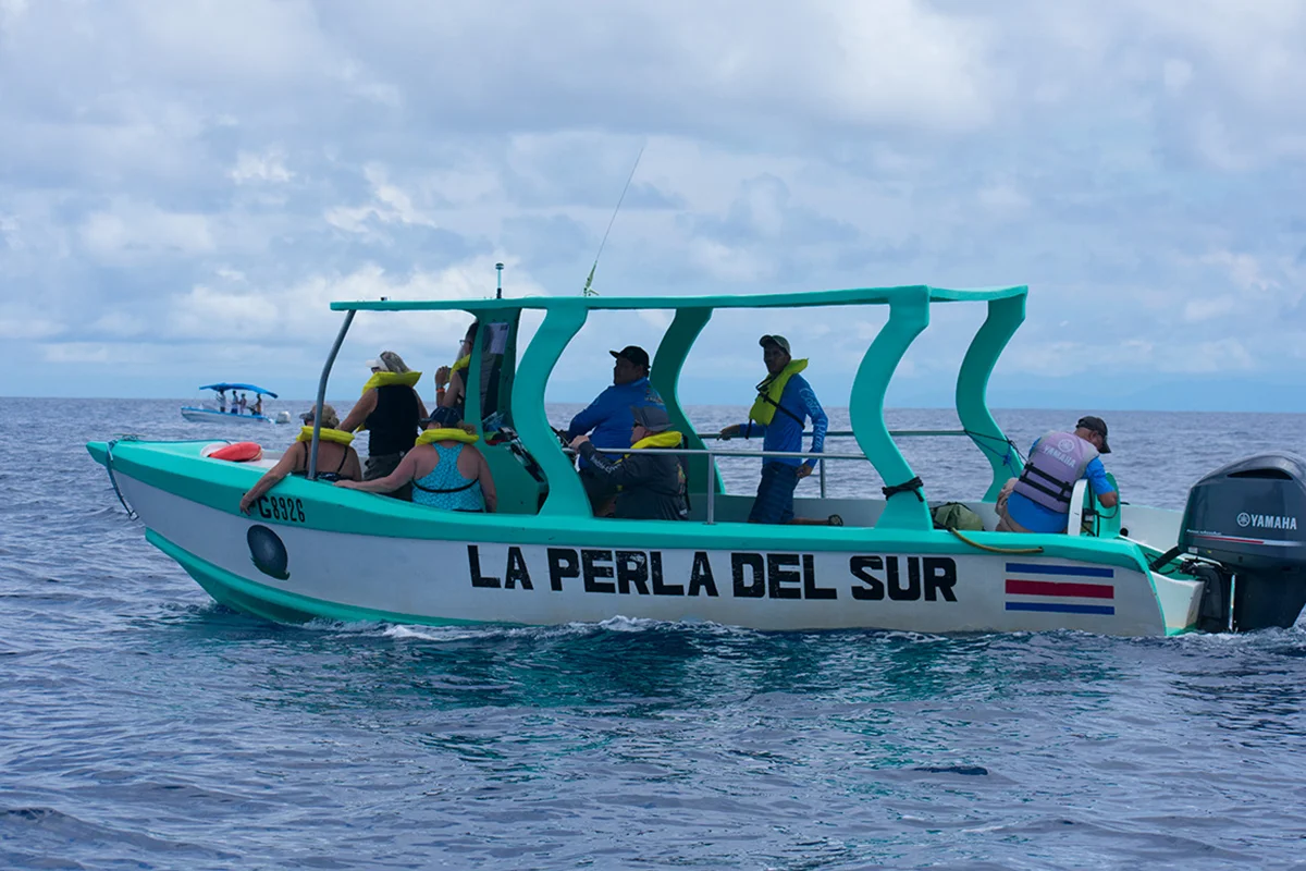 Beach Tours in Sierpe