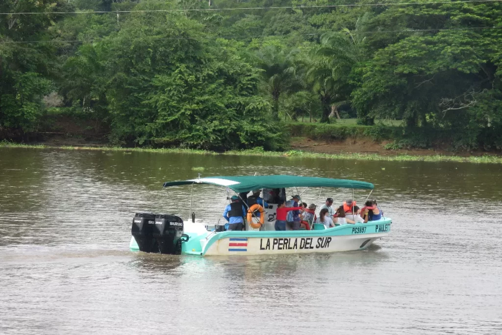 Sport Fishing Tours in Sierpe